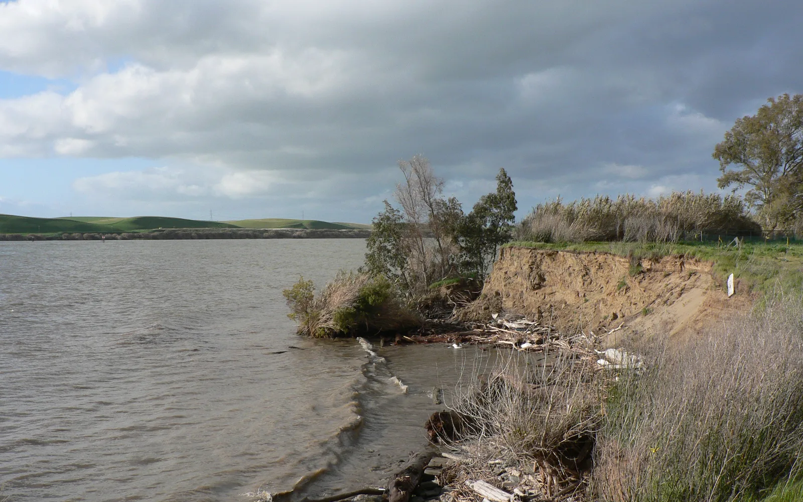 Sacramento River delta landscape with waterway and vegetation